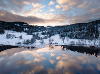 Scenic view of lake against trees during winter