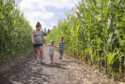 Pregnant mother exploring corn maze with her two children,