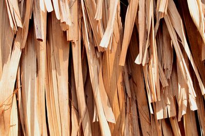 Full frame shot of wooden roof