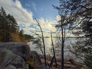 nature