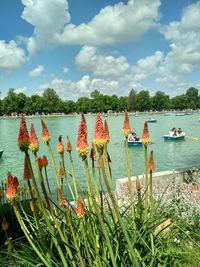 Scenic view of lake against sky