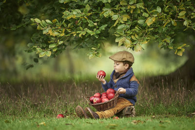 Little caucasian boy is sitting in the grass under a tree with a basket full of apples 