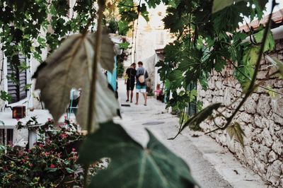 Rear view of people walking on footpath