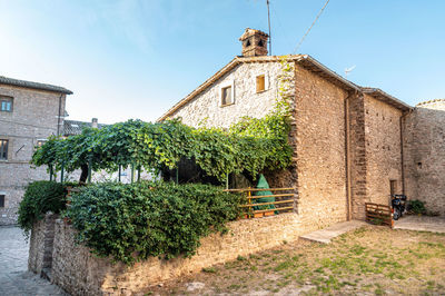 Plants growing outside house against sky