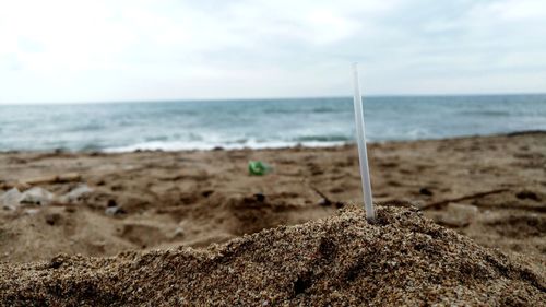 Close-up of beach against sky