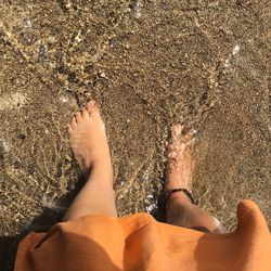 Low section of person legs on beach