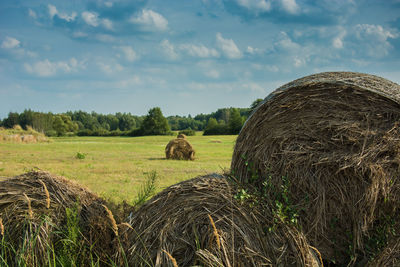 Round bales of hay in the foreground, green meadow and forest, clouds on blue sky