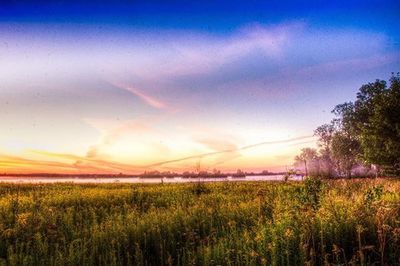 Scenic view of field against sky at sunset