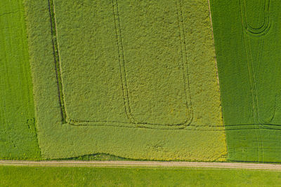 Bird's eye view of green field