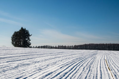 Scenic view of snow covered field against sky