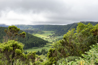 Scenic view of landscape against sky