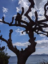 Low angle view of hand against sky