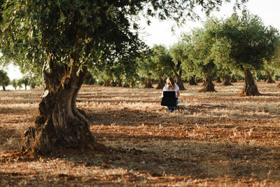 Woman using laptop while sitting at olive orchard