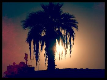 Low angle view of silhouette palm trees against sky at sunset