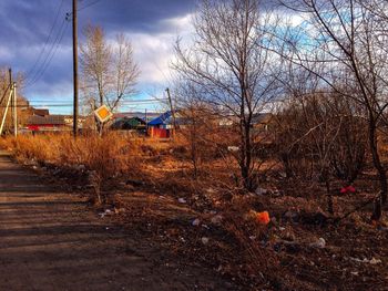 Bare trees and houses on field against sky