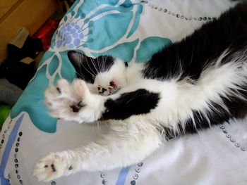 High angle view of cat relaxing on bed