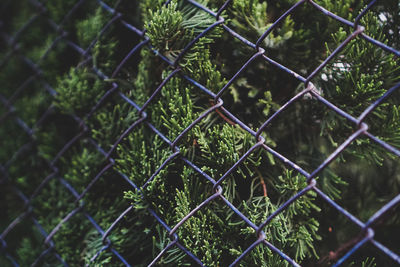 Full frame shot of chainlink fence