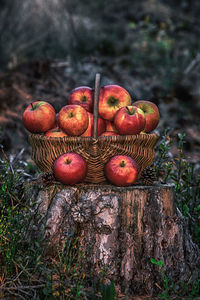 Close-up of apples in a basket