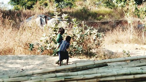 Rear view of man and woman on tree
