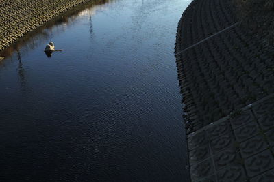 High angle view of birds swimming in lake