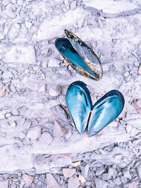 High angle view of shoes on ground