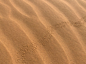 High angle view of footprints on sand