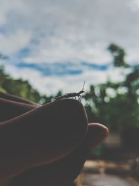 Close-up of hand against sky