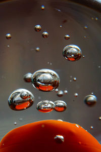 Close-up of water drops on bubbles