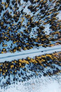 Close-up of snow on landscape