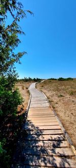 Dirt road along plants and trees against clear blue sky