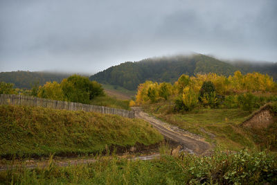 Scenic view of landscape against sky