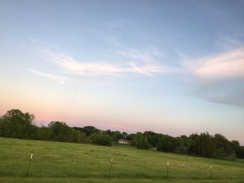 Scenic view of grassy field against sky