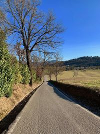 Empty road along bare trees against clear blue sky