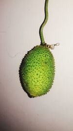 Close-up of fruit against white background