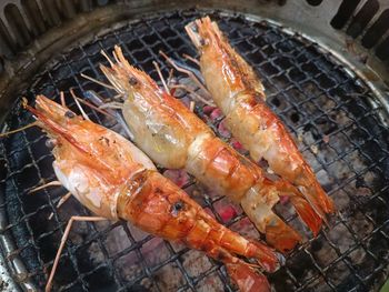 Close-up of meat on barbecue grill. 3 grilled shrimps on the grill.