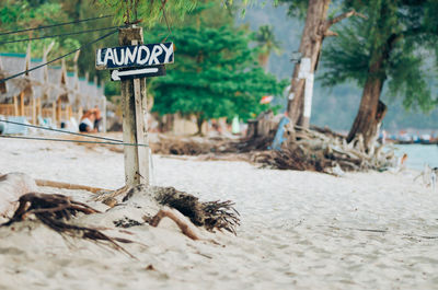 Directional sign on pole at beach