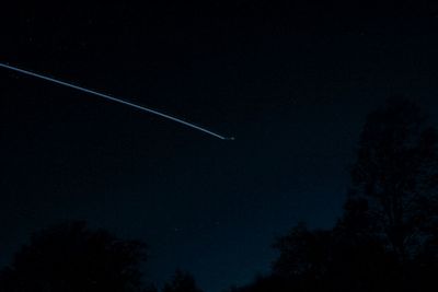 Low angle view of illuminated tree against sky