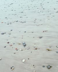 Close up of pebbles at beach