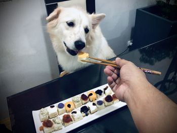 Midsection of man holding dog on table