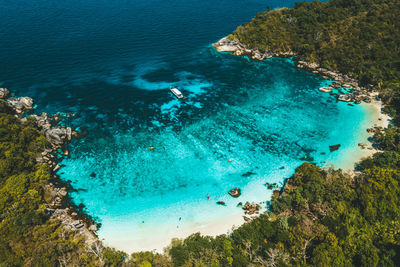 High angle view of sea and trees