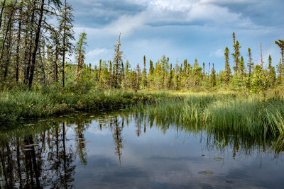 Scenic view of lake against sky