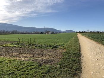 Scenic view of agricultural field against sky