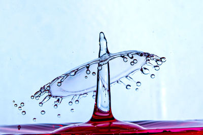 Close-up of water drops on glass against white background