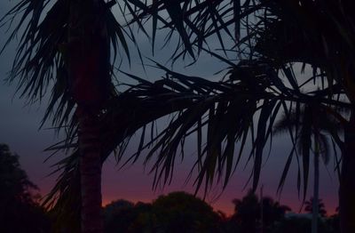 Low angle view of silhouette palm trees against sky at sunset