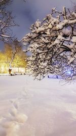 Snow covered plants on field against sky