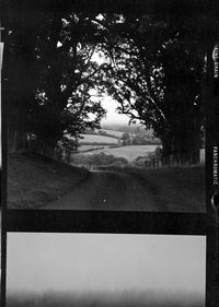 Road by trees seen through window