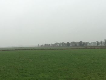 Scenic view of grassy field against sky