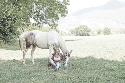 Horse on field