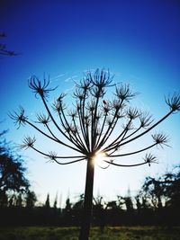 Low angle view of silhouette tree against sky during sunset