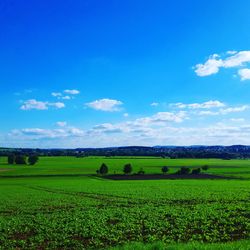 Scenic view of field against blue sky